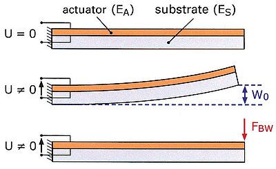 Parameters of the bending actuator